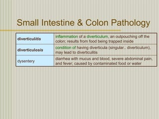 Small Intestine & Colon Pathology
                 inflammation of a diverticulum, an outpouching off the
diverticulitis
                 colon; results from food being trapped inside
                 condition of having diverticula (singular.. diverticulum),
diverticulosis
                 may lead to diverticulitis
                 diarrhea with mucus and blood, severe abdominal pain,
dysentery
                 and fever; caused by contaminated food or water
 