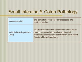 Small Intestine & Colon Pathology
                           one part of intestine slips or telescopes into
intussusception
                           another section


                           disturbance in function of intestine for unknown
irritable bowel syndrome   reason; causes abdominal cramping and
(IBS)                      alternating diarrhea and constipation; also called
                           functional bowel syndrome
 