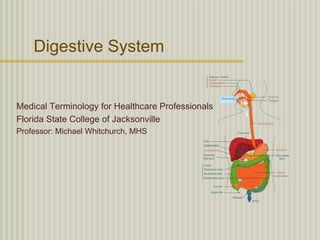 Digestive System


Medical Terminology for Healthcare Professionals
Florida State College of Jacksonville
Professor: Michael Whitchurch, MHS
 