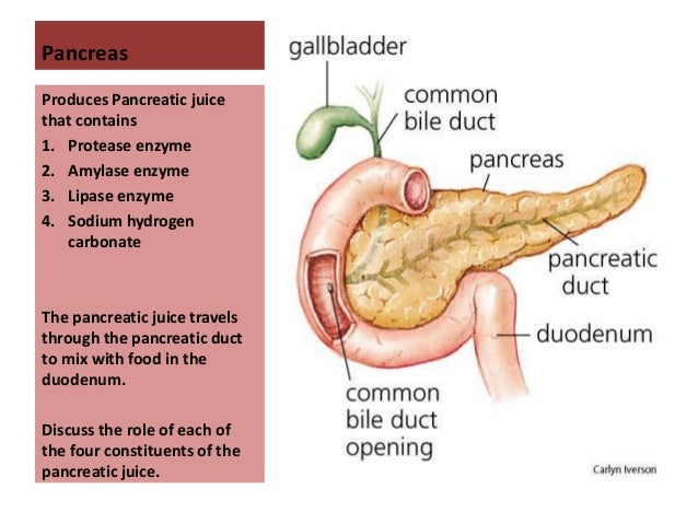 pancreatic juices pancreatic juices