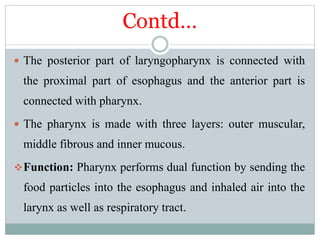 Contd…
 The posterior part of laryngopharynx is connected with
the proximal part of esophagus and the anterior part is
connected with pharynx.
 The pharynx is made with three layers: outer muscular,
middle fibrous and inner mucous.
Function: Pharynx performs dual function by sending the
food particles into the esophagus and inhaled air into the
larynx as well as respiratory tract.
 