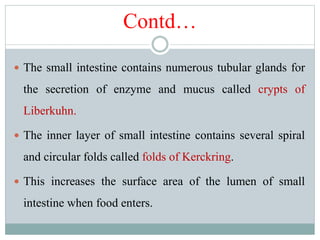 Contd…
 The small intestine contains numerous tubular glands for
the secretion of enzyme and mucus called crypts of
Liberkuhn.
 The inner layer of small intestine contains several spiral
and circular folds called folds of Kerckring.
 This increases the surface area of the lumen of small
intestine when food enters.
 