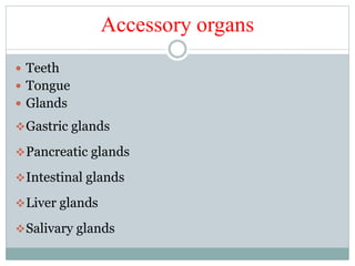 Accessory organs
 Teeth
 Tongue
 Glands
Gastric glands
Pancreatic glands
Intestinal glands
Liver glands
Salivary glands
 
