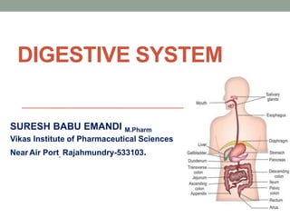 DIGESTIVE SYSTEM
SURESH BABU EMANDI M.Pharm
Vikas Institute of Pharmaceutical Sciences
Near Air Port, Rajahmundry-533103.
 