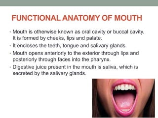 FUNCTIONAL ANATOMY OF MOUTH
• Mouth is otherwise known as oral cavity or buccal cavity.
It is formed by cheeks, lips and palate.
• It encloses the teeth, tongue and salivary glands.
• Mouth opens anteriorly to the exterior through lips and
posteriorly through faces into the pharynx.
• Digestive juice present in the mouth is saliva, which is
secreted by the salivary glands.
 