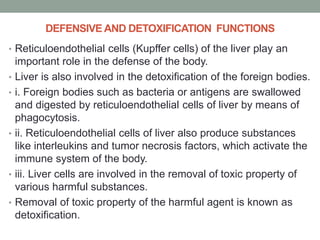 DEFENSIVE AND DETOXIFICATION FUNCTIONS
• Reticuloendothelial cells (Kupffer cells) of the liver play an
important role in the defense of the body.
• Liver is also involved in the detoxification of the foreign bodies.
• i. Foreign bodies such as bacteria or antigens are swallowed
and digested by reticuloendothelial cells of liver by means of
phagocytosis.
• ii. Reticuloendothelial cells of liver also produce substances
like interleukins and tumor necrosis factors, which activate the
immune system of the body.
• iii. Liver cells are involved in the removal of toxic property of
various harmful substances.
• Removal of toxic property of the harmful agent is known as
detoxification.
 