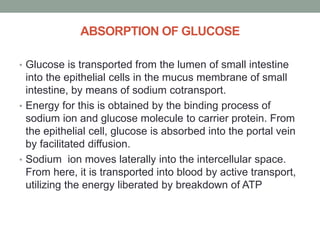 ABSORPTION OF GLUCOSE
• Glucose is transported from the lumen of small intestine
into the epithelial cells in the mucus membrane of small
intestine, by means of sodium cotransport.
• Energy for this is obtained by the binding process of
sodium ion and glucose molecule to carrier protein. From
the epithelial cell, glucose is absorbed into the portal vein
by facilitated diffusion.
• Sodium ion moves laterally into the intercellular space.
From here, it is transported into blood by active transport,
utilizing the energy liberated by breakdown of ATP
 