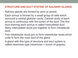 STRUCTURE AND DUCT SYSTEM OF SALIVARY GLANDS
• Salivary glands are formed by acini or alveoli.
• Each acinus is formed by a small group of cells which
surround a central globular cavity. Central cavity of each
acinus is continuous with the lumen of the duct. The fine
duct draining each acinus is called intercalated duct.
Many intercalated ducts join together to form intralobular
duct.
• Few intralobular ducts join to form interlobular ducts,which
unite to form the main duct of the gland.
• A gland with this type of structure and duct system is
called racemose type (racemose = bunch of grapes).
 