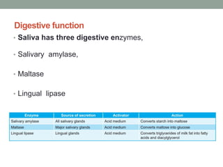 Digestive function
• Saliva has three digestive enzymes,
• Salivary amylase,
• Maltase
• Lingual lipase
 