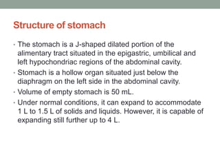 Structure of stomach
• The stomach is a J-shaped dilated portion of the
alimentary tract situated in the epigastric, umbilical and
left hypochondriac regions of the abdominal cavity.
• Stomach is a hollow organ situated just below the
diaphragm on the left side in the abdominal cavity.
• Volume of empty stomach is 50 mL.
• Under normal conditions, it can expand to accommodate
1 L to 1.5 L of solids and liquids. However, it is capable of
expanding still further up to 4 L.
 