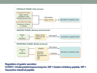 Regulationof gastric secretion
CCKPZ = Cholecystokininpancreozymin,GIP= Gastric inhibitorypeptide,VIP=
Vasoactive intestinalpeptide
 