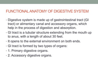 FUNCTIONALANATOMY OF DIGESTIVE SYSTEM
• Digestive system is made up of gastrointestinal tract (GI
tract) or alimentary canal and accessory organs, which
help in the process of digestion and absorption.
• GI tract is a tubular structure extending from the mouth up
to anus, with a length of about 30 feet.
• It opens to the external environment on both ends.
• GI tract is formed by two types of organs:
• 1. Primary digestive organs.
• 2. Accessory digestive organs.
 