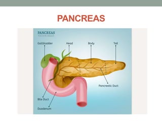PANCREAS
 