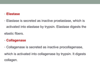 • Elastase
• Elastase is secreted as inactive proelastase, which is
activated into elastase by trypsin. Elastase digests the
elastic fibers.
• Collagenase
• Collagenase is secreted as inactive procollagenase,
which is activated into collagenase by trypsin. It digests
collagen.
 