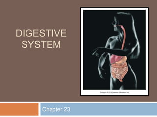 DIGESTIVE
SYSTEM
Chapter 23
 