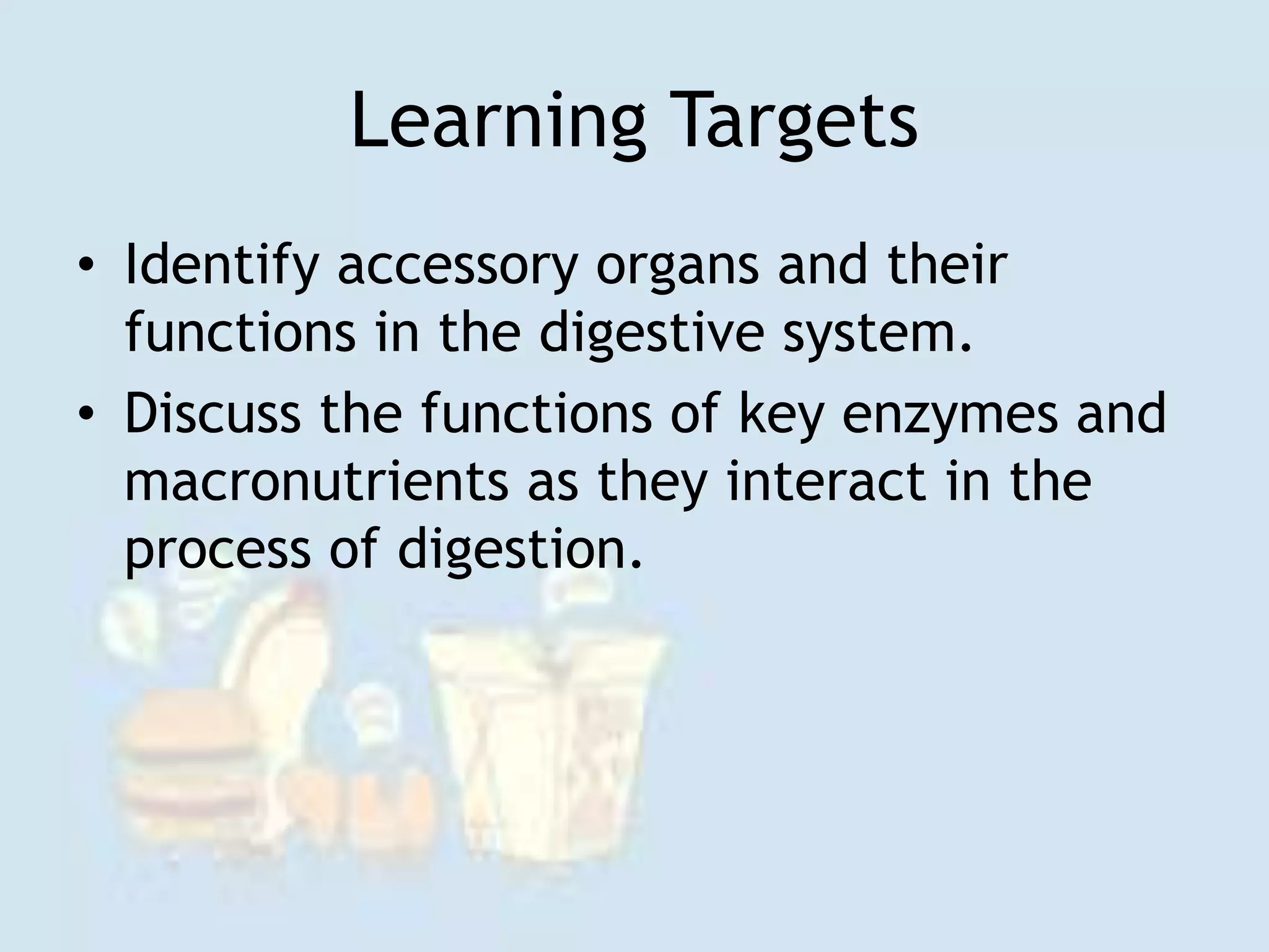 Learning Targets
• Identify accessory organs and their
functions in the digestive system.
• Discuss the functions of key enzymes and
macronutrients as they interact in the
process of digestion.
 