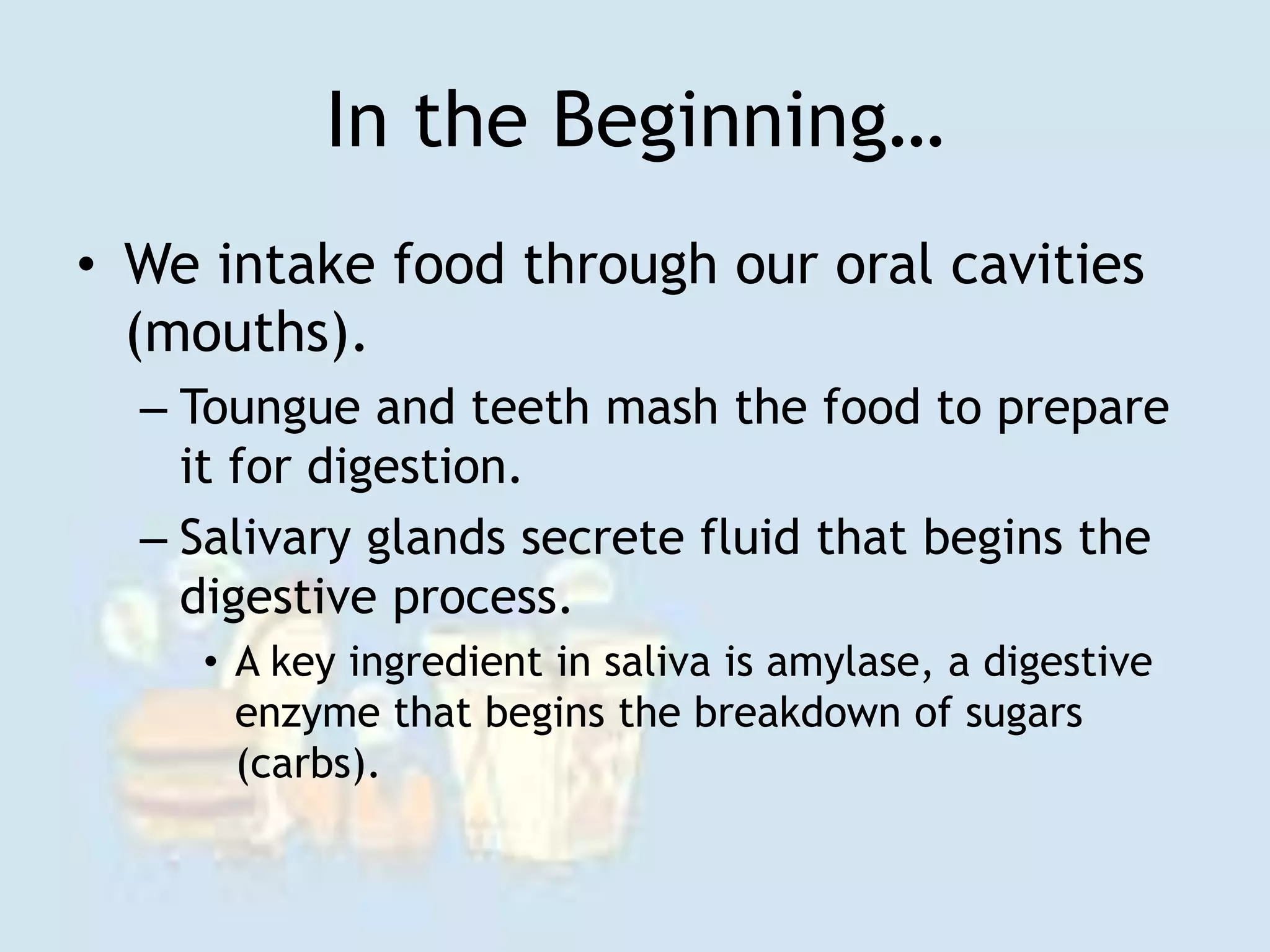 In the Beginning…
• We intake food through our oral cavities
(mouths).
– Toungue and teeth mash the food to prepare
it for digestion.
– Salivary glands secrete fluid that begins the
digestive process.
• A key ingredient in saliva is amylase, a digestive
enzyme that begins the breakdown of sugars
(carbs).
 