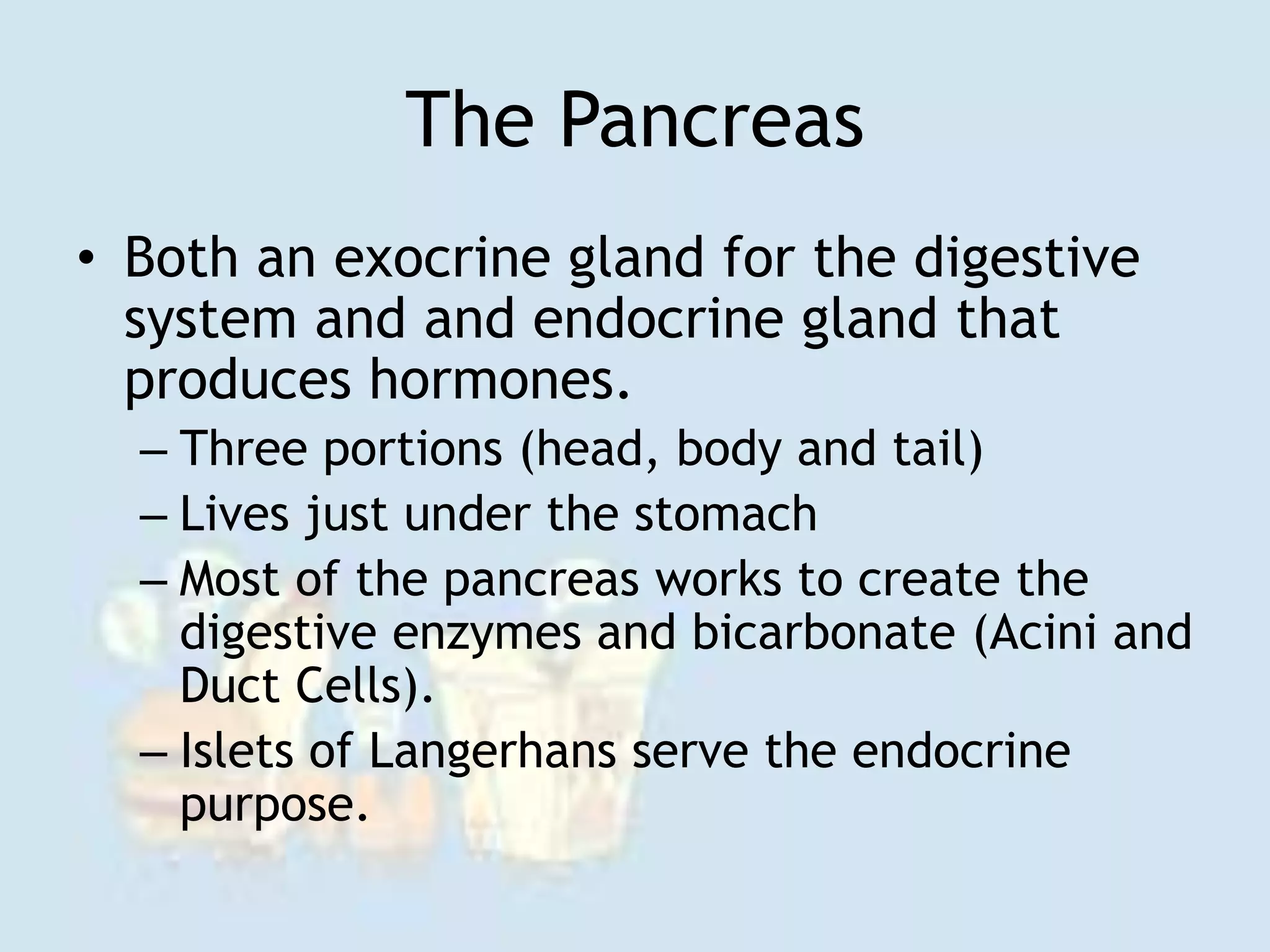 The Pancreas
• Both an exocrine gland for the digestive
system and and endocrine gland that
produces hormones.
– Three portions (head, body and tail)
– Lives just under the stomach
– Most of the pancreas works to create the
digestive enzymes and bicarbonate (Acini and
Duct Cells).
– Islets of Langerhans serve the endocrine
purpose.
 