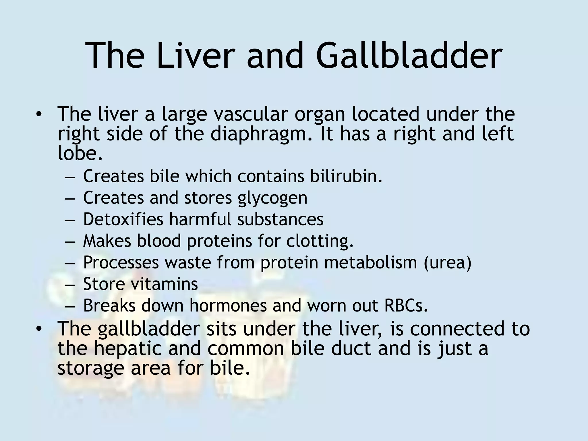 The Liver and Gallbladder
• The liver a large vascular organ located under the
right side of the diaphragm. It has a right and left
lobe.
– Creates bile which contains bilirubin.
– Creates and stores glycogen
– Detoxifies harmful substances
– Makes blood proteins for clotting.
– Processes waste from protein metabolism (urea)
– Store vitamins
– Breaks down hormones and worn out RBCs.
• The gallbladder sits under the liver, is connected to
the hepatic and common bile duct and is just a
storage area for bile.
 
