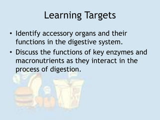 Learning Targets
• Identify accessory organs and their
functions in the digestive system.
• Discuss the functions of key enzymes and
macronutrients as they interact in the
process of digestion.
 