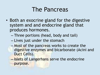 The Pancreas
• Both an exocrine gland for the digestive
system and and endocrine gland that
produces hormones.
– Three portions (head, body and tail)
– Lives just under the stomach
– Most of the pancreas works to create the
digestive enzymes and bicarbonate (Acini and
Duct Cells).
– Islets of Langerhans serve the endocrine
purpose.
 