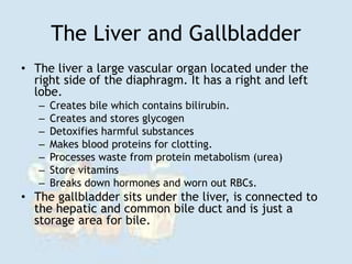 The Liver and Gallbladder
• The liver a large vascular organ located under the
right side of the diaphragm. It has a right and left
lobe.
– Creates bile which contains bilirubin.
– Creates and stores glycogen
– Detoxifies harmful substances
– Makes blood proteins for clotting.
– Processes waste from protein metabolism (urea)
– Store vitamins
– Breaks down hormones and worn out RBCs.
• The gallbladder sits under the liver, is connected to
the hepatic and common bile duct and is just a
storage area for bile.
 