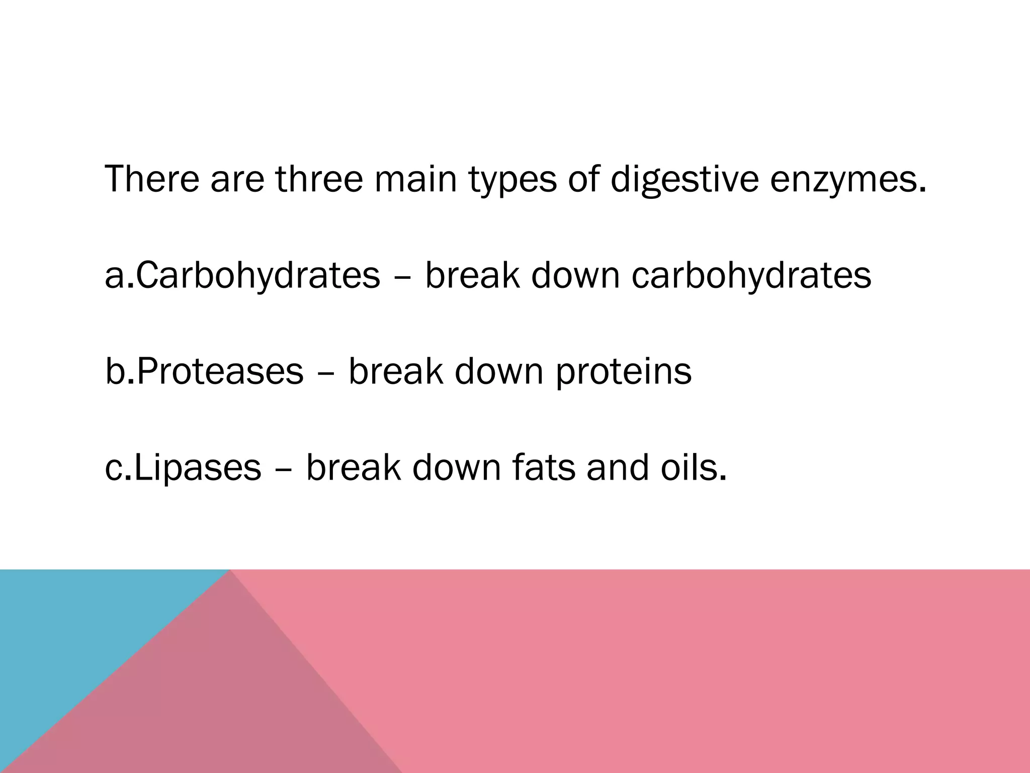 There are three main types of digestive enzymes.
a.Carbohydrates – break down carbohydrates
b.Proteases – break down proteins
c.Lipases – break down fats and oils.
 