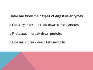 Digestive System