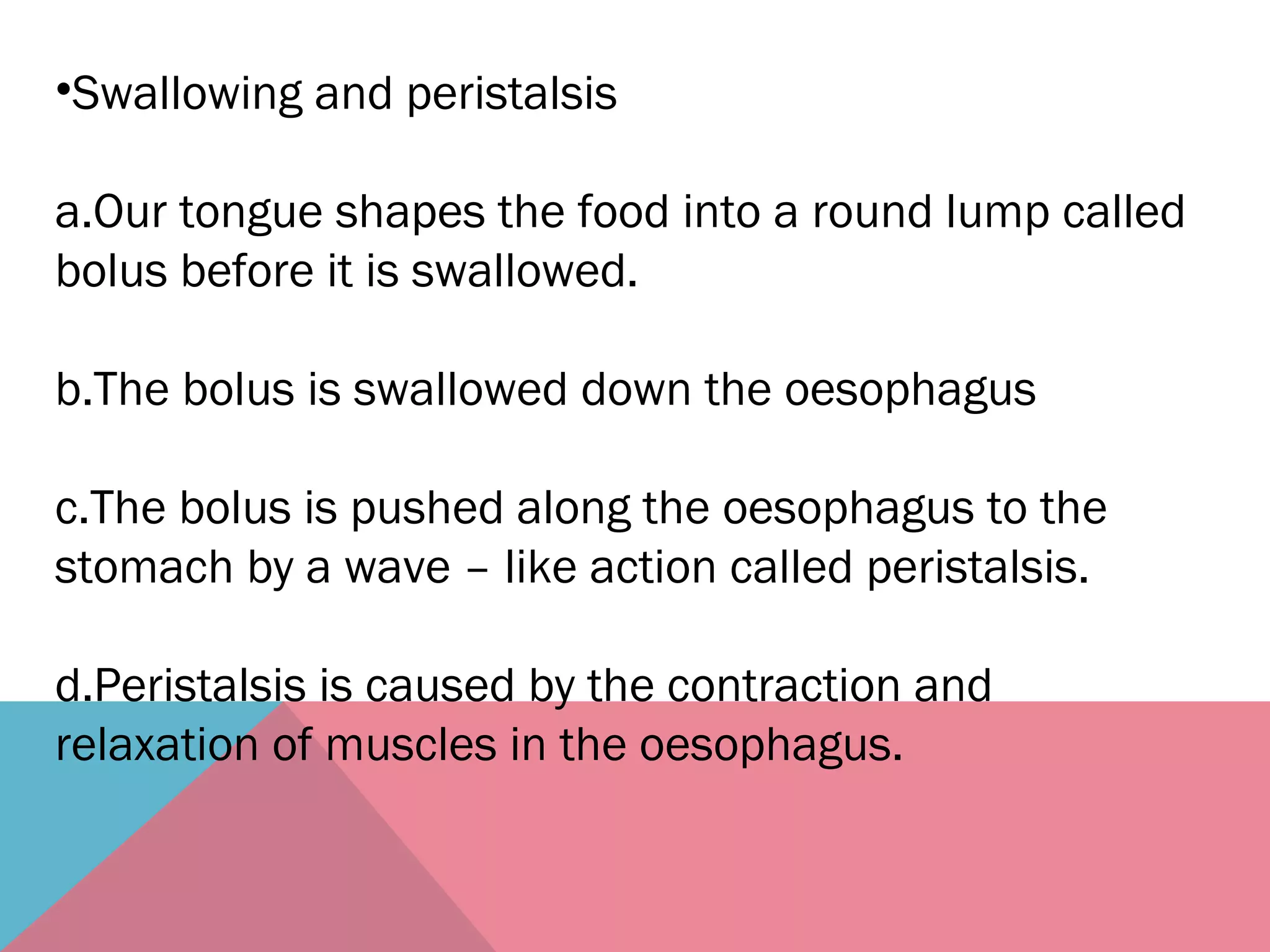 •Swallowing and peristalsis
a.Our tongue shapes the food into a round lump called
bolus before it is swallowed.
b.The bolus is swallowed down the oesophagus
c.The bolus is pushed along the oesophagus to the
stomach by a wave – like action called peristalsis.
d.Peristalsis is caused by the contraction and
relaxation of muscles in the oesophagus.
 