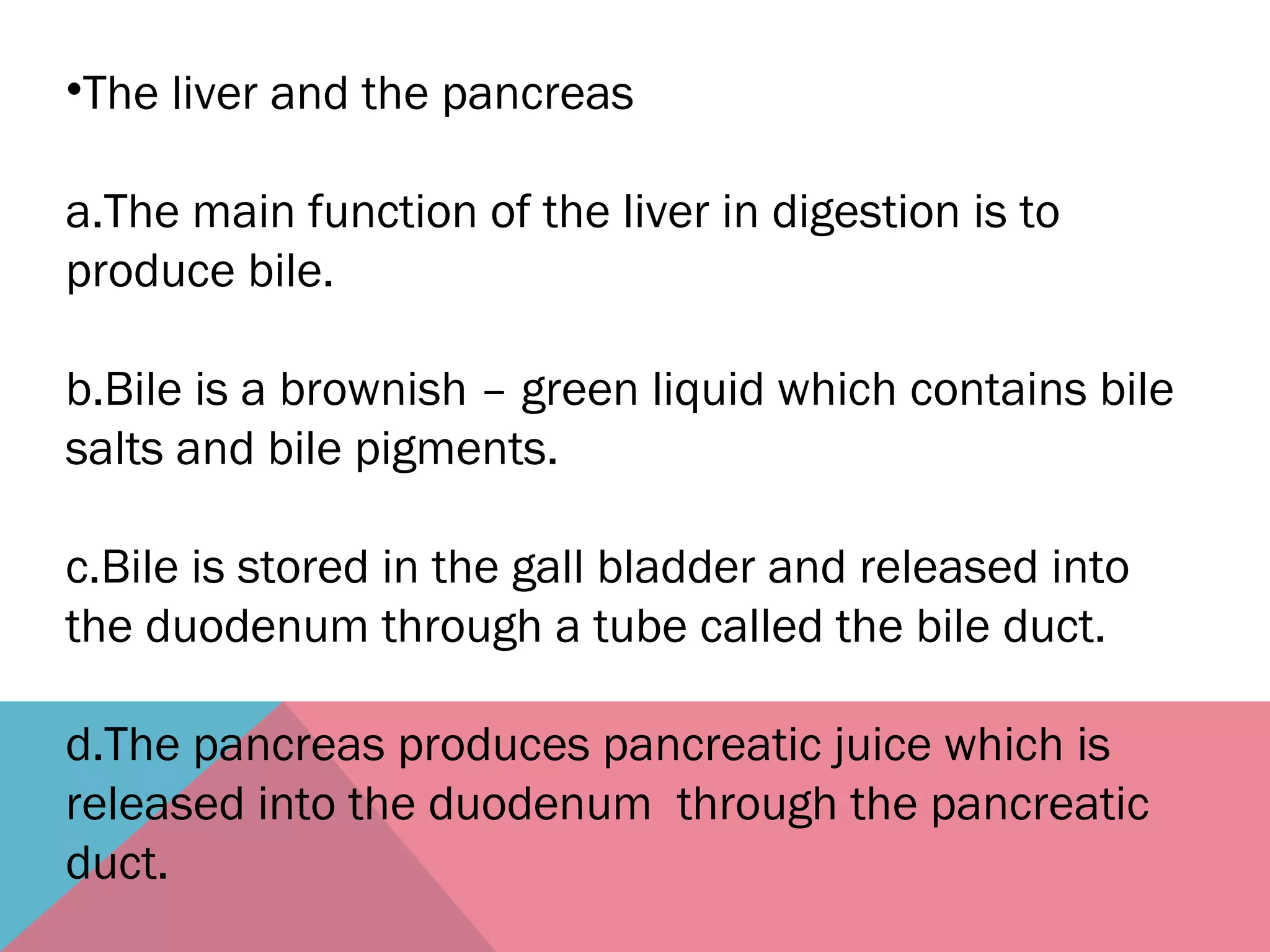 •The liver and the pancreas
a.The main function of the liver in digestion is to
produce bile.
b.Bile is a brownish – green liquid which contains bile
salts and bile pigments.
c.Bile is stored in the gall bladder and released into
the duodenum through a tube called the bile duct.
d.The pancreas produces pancreatic juice which is
released into the duodenum through the pancreatic
duct.
 