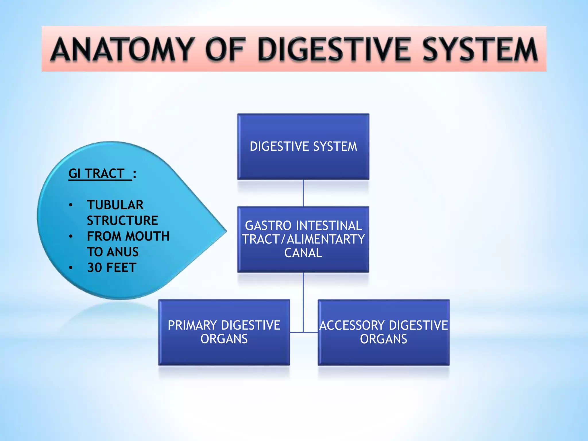 Digestive system introduction | PPT
