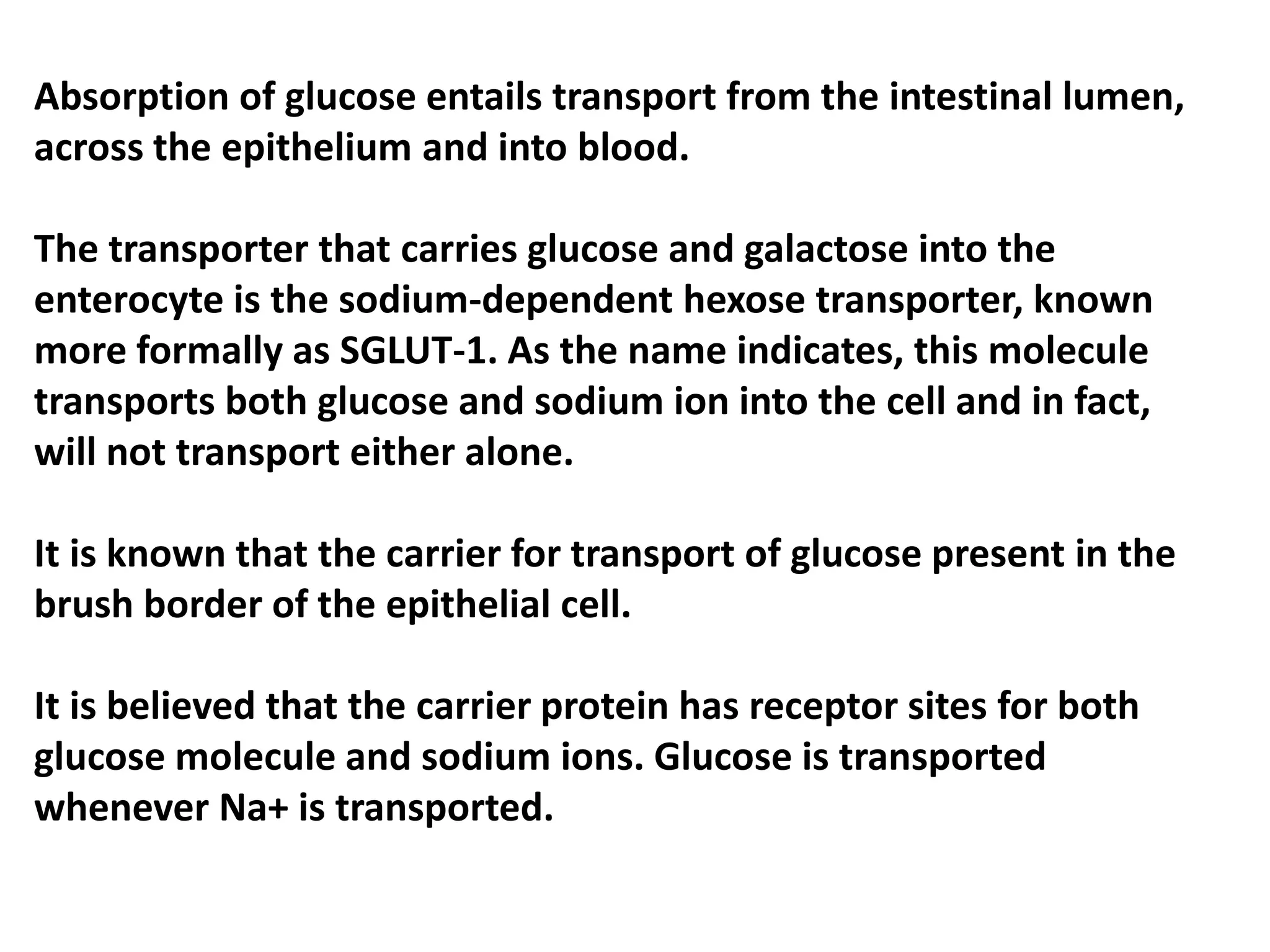 Digestive system (Absorption) / Food Absorption | PPTX