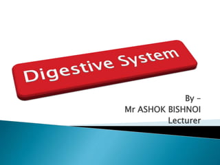 By –
Mr ASHOK BISHNOI
Lecturer
 