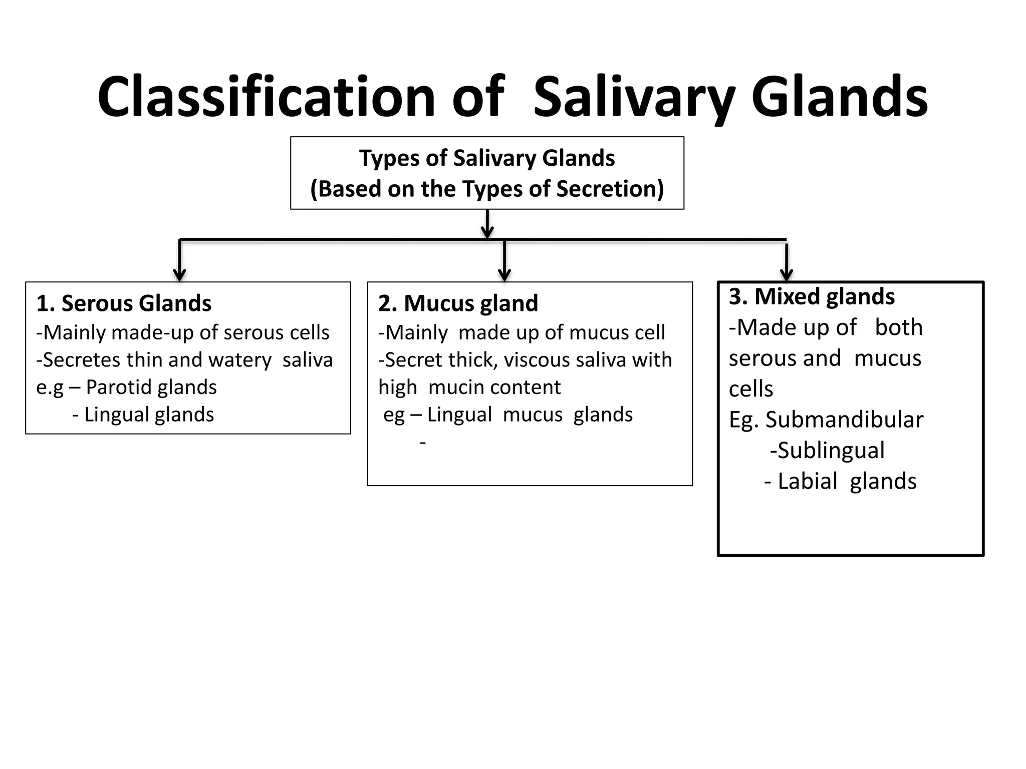 Saliva Types Digestive system anatomy and physiology | PPTX