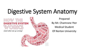 Digestive System Anatomy
Prepared
By Mr. Chamrane Yter
Medical Student
Of Norton University
 