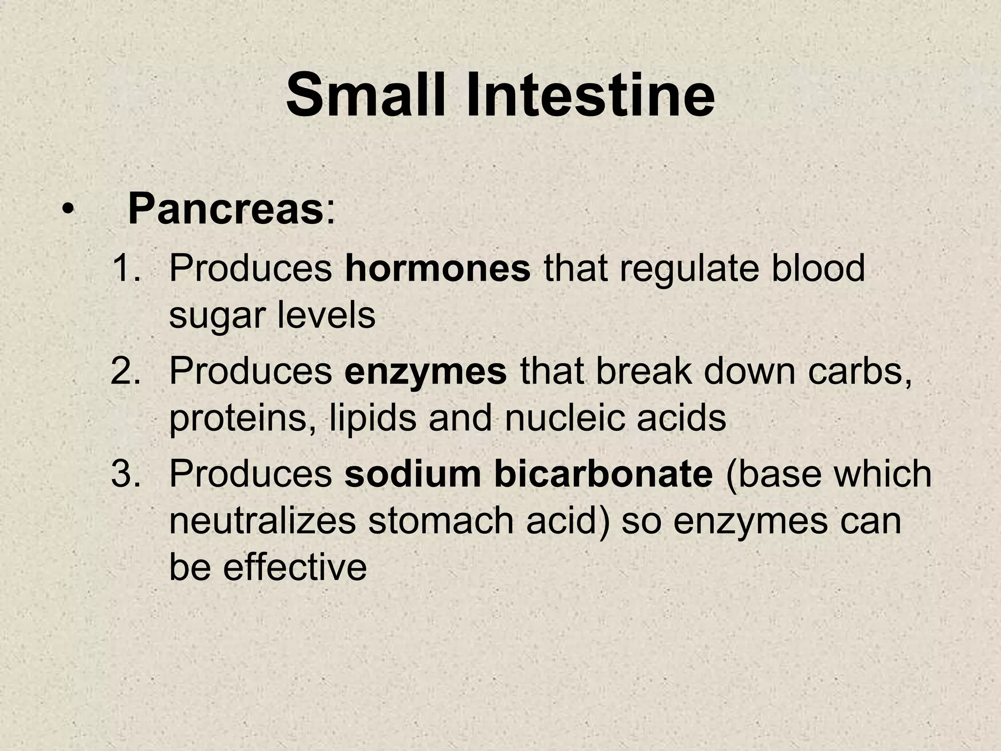 Small Intestine
• Pancreas:
1. Produces hormones that regulate blood
sugar levels
2. Produces enzymes that break down carbs,
proteins, lipids and nucleic acids
3. Produces sodium bicarbonate (base which
neutralizes stomach acid) so enzymes can
be effective
 
