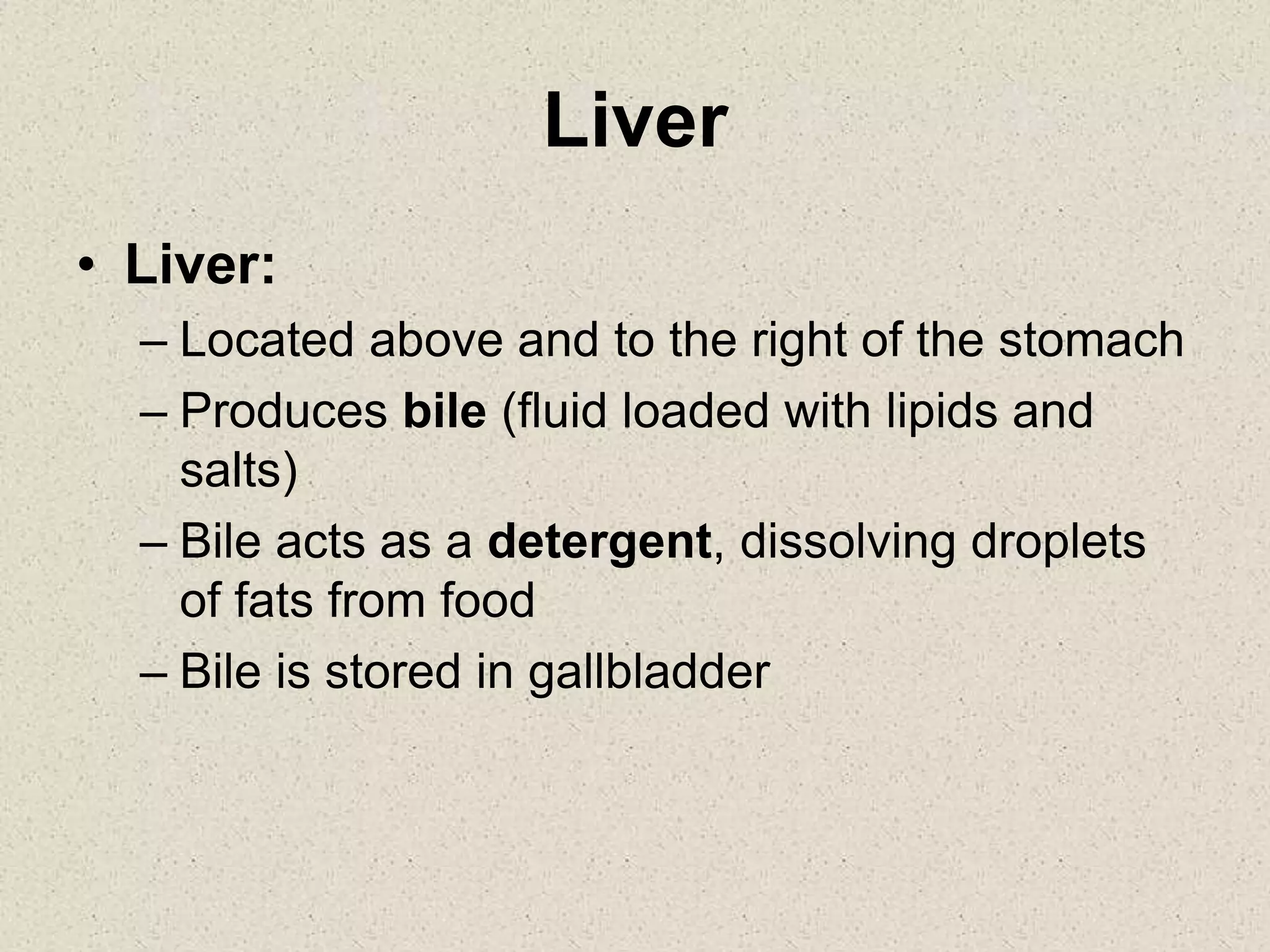 Liver
• Liver:
– Located above and to the right of the stomach
– Produces bile (fluid loaded with lipids and
salts)
– Bile acts as a detergent, dissolving droplets
of fats from food
– Bile is stored in gallbladder
 