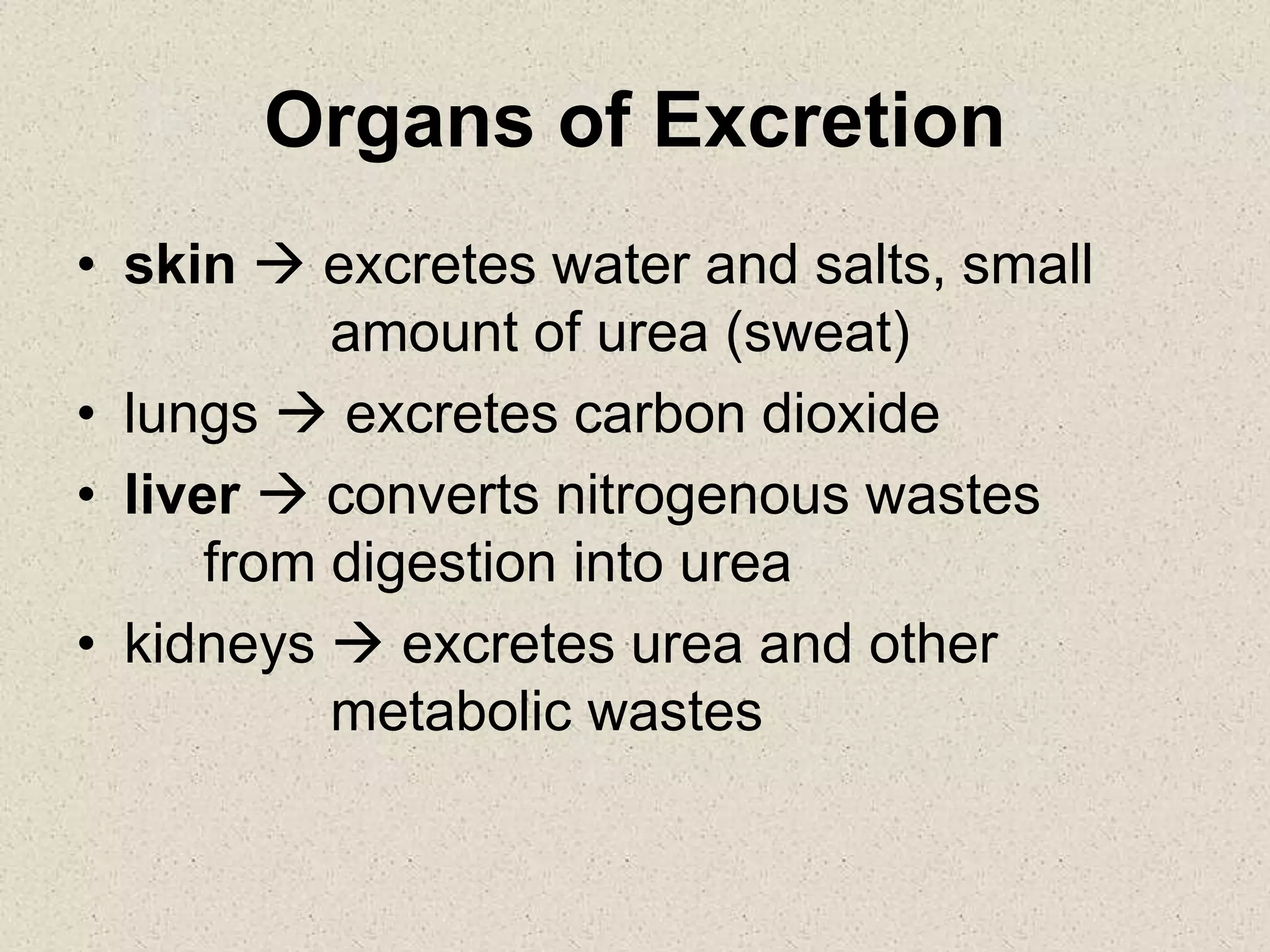 Organs of Excretion
• skin  excretes water and salts, small
amount of urea (sweat)
• lungs  excretes carbon dioxide
• liver  converts nitrogenous wastes
from digestion into urea
• kidneys  excretes urea and other
metabolic wastes
 