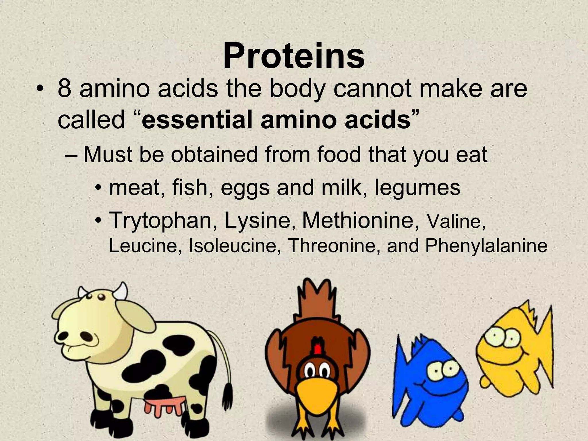 Proteins
• 8 amino acids the body cannot make are
called “essential amino acids”
– Must be obtained from food that you eat
• meat, fish, eggs and milk, legumes
• Trytophan, Lysine, Methionine, Valine,
Leucine, Isoleucine, Threonine, and Phenylalanine
 