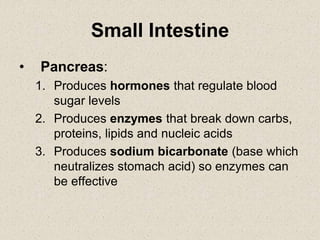 Small Intestine
• Pancreas:
1. Produces hormones that regulate blood
sugar levels
2. Produces enzymes that break down carbs,
proteins, lipids and nucleic acids
3. Produces sodium bicarbonate (base which
neutralizes stomach acid) so enzymes can
be effective
 