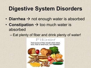 Digestive System Disorders
• Diarrhea  not enough water is absorbed
• Constipation  too much water is
absorbed
– Eat plenty of fiber and drink plenty of water!
 