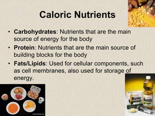 Caloric Nutrients
• Carbohydrates: Nutrients that are the main
source of energy for the body
• Protein: Nutrients that are the main source of
building blocks for the body
• Fats/Lipids: Used for cellular components, such
as cell membranes, also used for storage of
energy.
 