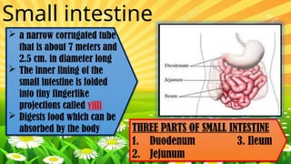 digestive system and its parts (2020_03_27 13_55_30 UTC) [Autosaved].pptx