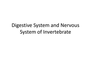 Digestive System and Nervous
System of Invertebrate
 
