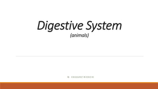 Digestive System
(animals)
M . VA S Q U E Z B I O S C I E
 