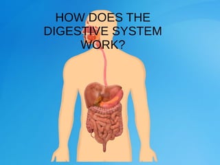 HOW DOES THE
DIGESTIVE SYSTEM
WORK?
 