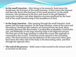 In the small intestine - After being in the stomach, food enters the duodenum, the first part of the small intestine. It then enters the jejunum and then the ileum (the final part of the small intestine). In the small intestine, bile (produced in the liver and stored in the gall bladder), pancreatic enzymes, and other digestive enzymes produced by the inner wall of the small intestine help in the breakdown of food. In the large intestine - After passing through the small intestine, food passes into the large intestine. In the large intestine, some of the water and electrolytes (chemicals like sodium) are removed from the food. Many microbes (bacteria like Bacteroides, Lactobacillus acidophilus, Escherichia coli, and Klebsiella) in the large intestine help in the digestion process. The first part of the large intestine is called the cecum (the appendix is connected to the cecum). Food then travels upward in the ascending colon. The food travels across the abdomen in the transverse colon, goes back down the other side of the body in the descending colon, and then through the sigmoid colon. The end of the process - Solid waste is then stored in the rectum until it is excreted via the anus. 