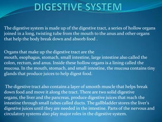 DIGESTIVE SYSTEM The digestive system is made up of the digestive tract, a series of hollow organs joined in a long, twisting tube from the mouth to the anus and other organs that help the body break down and absorb food . Organs that make up the digestive tract are the mouth, esophagus, stomach, small intestine, large intestine also called the colon, rectum, and anus. Inside these hollow organs is a lining called the mucosa. In the mouth, stomach, and small intestine, the mucosa contains tiny glands that produce juices to help digest food.  The digestive tract also contains a layer of smooth muscle that helps break down food and move it along the tract. There are two solid digestive organs, the liver and the pancreas, produce digestive juices that reach the intestine through small tubes called ducts. The gallbladder stores the liver's digestive juices until they are needed in the intestine. Parts of the nervous and circulatory systems also play major roles in the digestive system. 