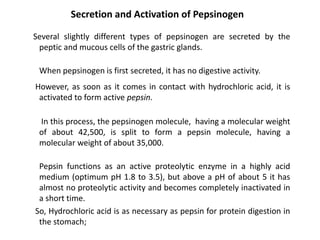 Secretion and Activation of Pepsinogen
Several slightly different types of pepsinogen are secreted by the
peptic and mucous cells of the gastric glands.
When pepsinogen is first secreted, it has no digestive activity.
However, as soon as it comes in contact with hydrochloric acid, it is
activated to form active pepsin.
In this process, the pepsinogen molecule, having a molecular weight
of about 42,500, is split to form a pepsin molecule, having a
molecular weight of about 35,000.
Pepsin functions as an active proteolytic enzyme in a highly acid
medium (optimum pH 1.8 to 3.5), but above a pH of about 5 it has
almost no proteolytic activity and becomes completely inactivated in
a short time.
So, Hydrochloric acid is as necessary as pepsin for protein digestion in
the stomach;
 
