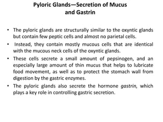 Pyloric Glands—Secretion of Mucus
and Gastrin
• The pyloric glands are structurally similar to the oxyntic glands
but contain few peptic cells and almost no parietal cells.
• Instead, they contain mostly mucous cells that are identical
with the mucous neck cells of the oxyntic glands.
• These cells secrete a small amount of pepsinogen, and an
especially large amount of thin mucus that helps to lubricate
food movement, as well as to protect the stomach wall from
digestion by the gastric enzymes.
• The pyloric glands also secrete the hormone gastrin, which
plays a key role in controlling gastric secretion.
 
